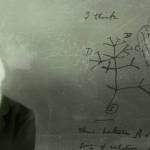 Evolution and Sexual Behavior