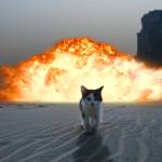 Subtelna sztuka niebrania do bani