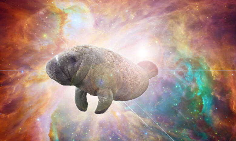 I may not be able to prove that the world was created by a giant cosmic manatee. But then again, can you prove that it wasn’t?