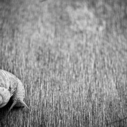 The “Do Something” Principle