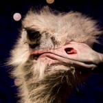 The Guide to Being Miserable