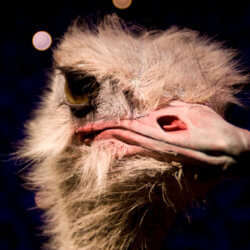 The Guide to Being Miserable